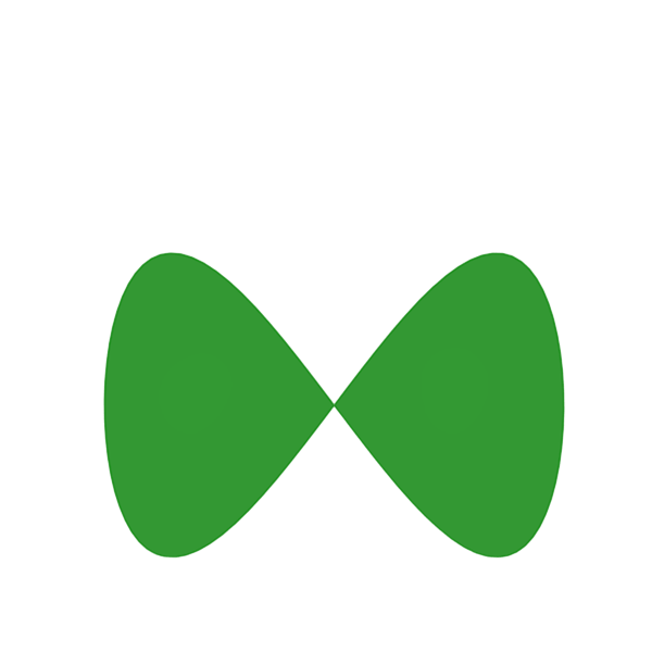 AutoShenhai Logo